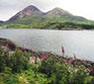 Red Cuillin